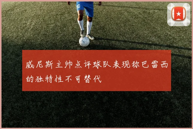威尼斯主帅点评球队表现称巴雷西的独特性不可替代
