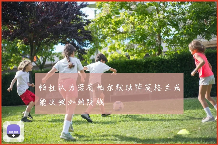 帕杜认为若有帕尔默助阵英格兰或能攻破加纳防线