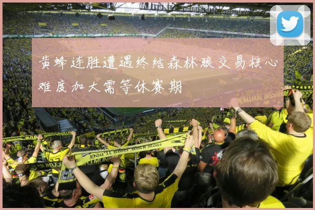 黄蜂连胜遭遇终结森林狼交易核心难度加大需等休赛期