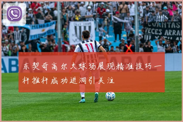东契奇高尔夫球场展现精准技巧一杆推杆成功进洞引关注